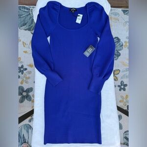 Express Vibrant cobalt Blue Knit Dress